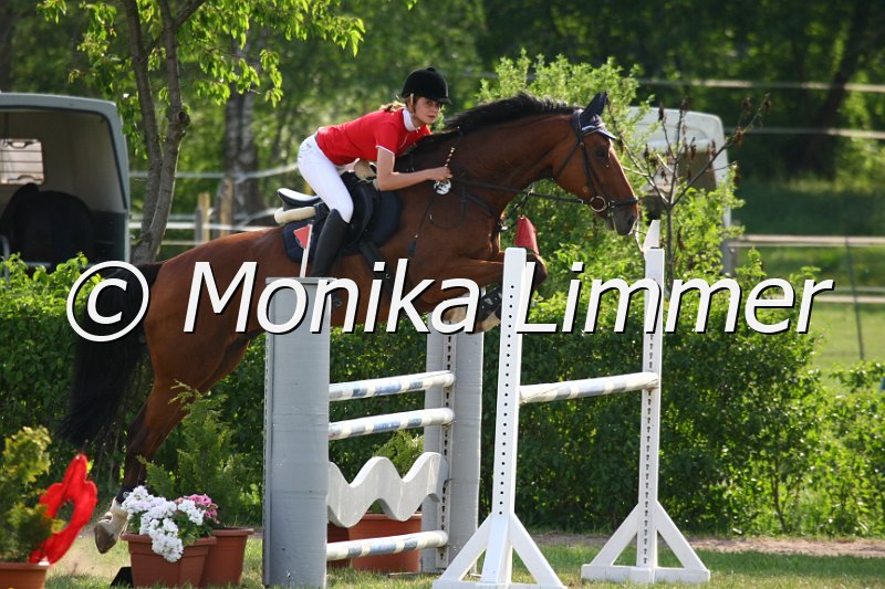 105M2798_Gorch Fock_Spring_M.JPG